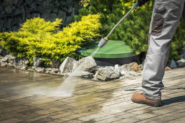 Best Restaurant Pressure Washing  in Citrus Springs, FL
