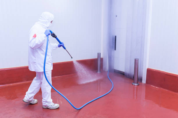 Best Spring Cleaning  in Citrus Springs, FL
